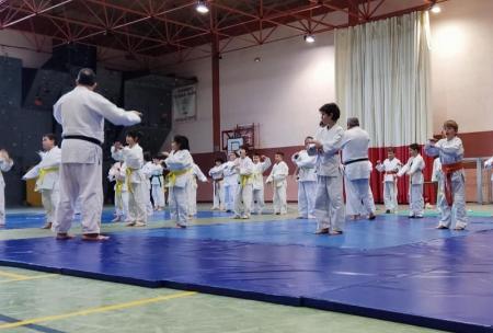 Imagen El Judo y el Deporte Divertido congregan a seiscientos escolares, a lo largo del fin de semana, en el Real Sitio de San Ildefonso y...