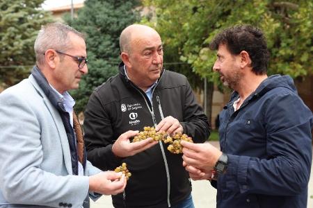 Imagen Más de trescientas personas disfrutan un año más de la Fiesta de la vendimia de Moraleja de Coca que recibió la visita del presidente de la Diputación
